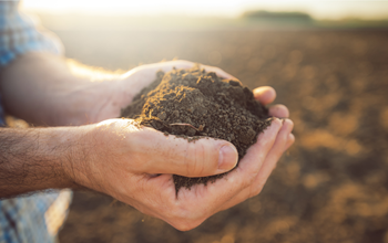 Your guide to Soil Classification feature image