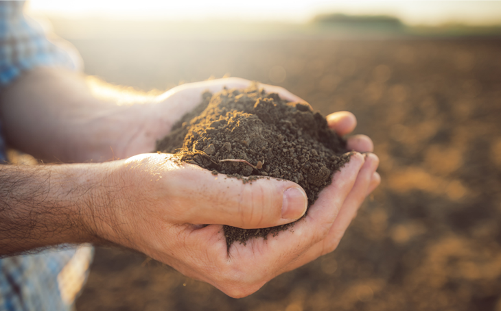 Your guide to Soil Classification